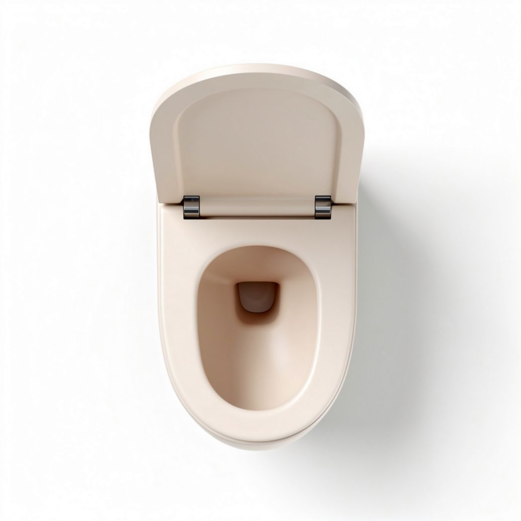 Elongated toilet bowl in beige ceramic with soft close lid 35 x 50 x 40cm